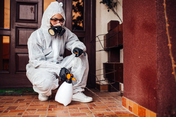 Attic and Crawl Space Rodent Treatment in Niagara University