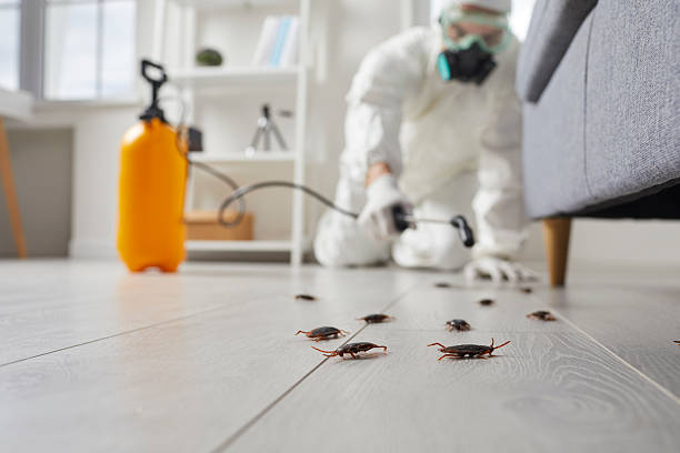 Commercial Rodent Management in Niagara University